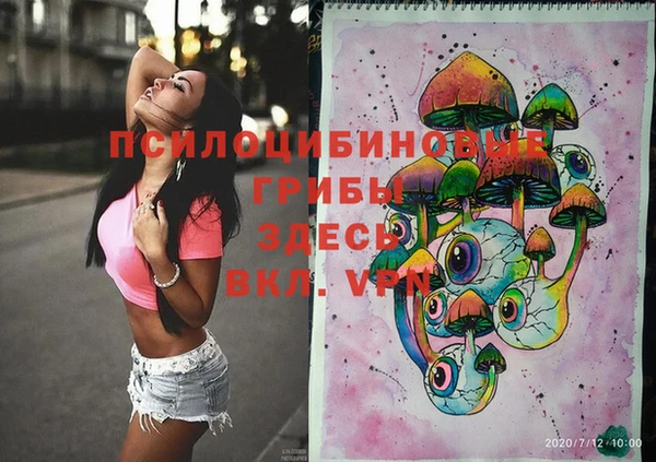 индика Остров