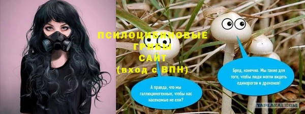 сатива Пестово