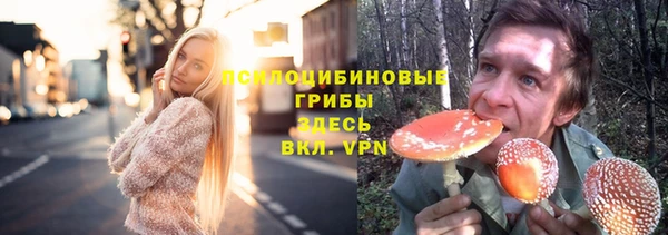 индика Остров