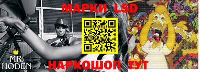 гидропоника Гагарин
