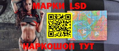 мдпв Гатчина