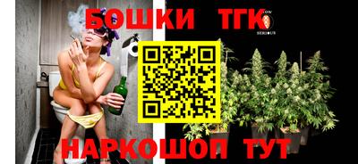 мдпв Гатчина