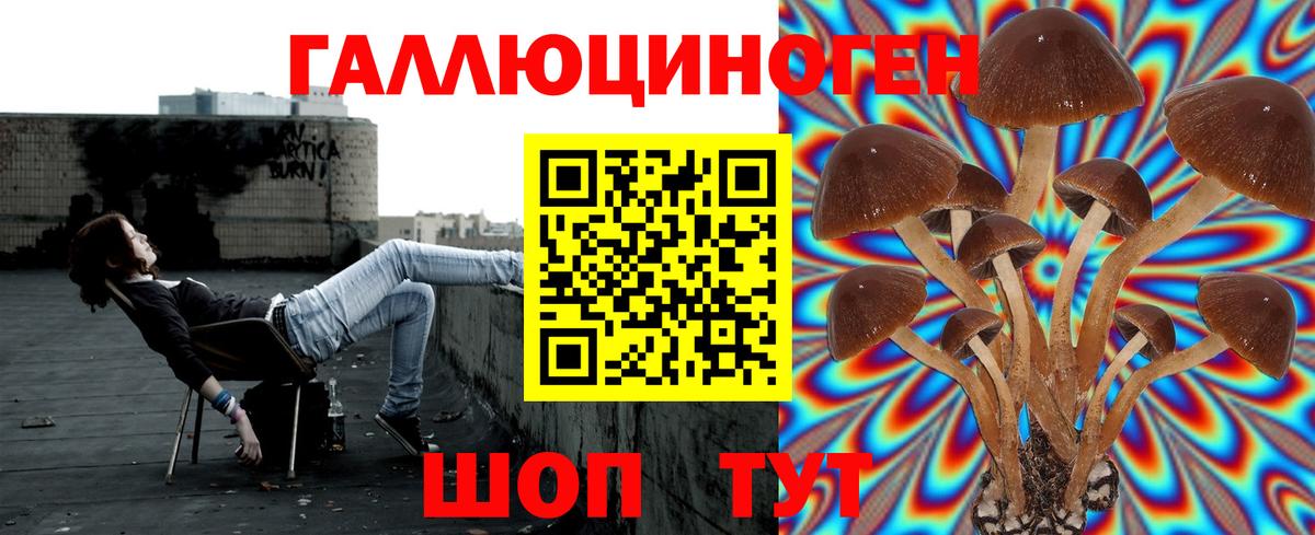 Галлюциногенные грибы мухоморы  Вход с VPN  Иваново 